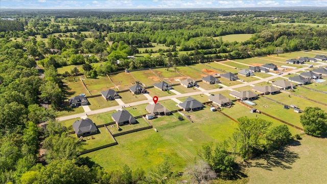 14836 Turtle Creek Ranch Road, Flint, TX 75762