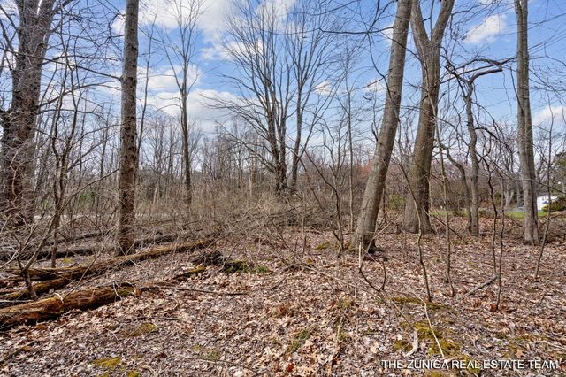 Parcel A Nestrom Road, Whitehall, MI 49461