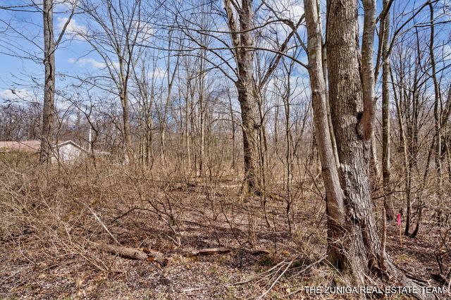 Parcel A Nestrom Road, Whitehall, MI 49461