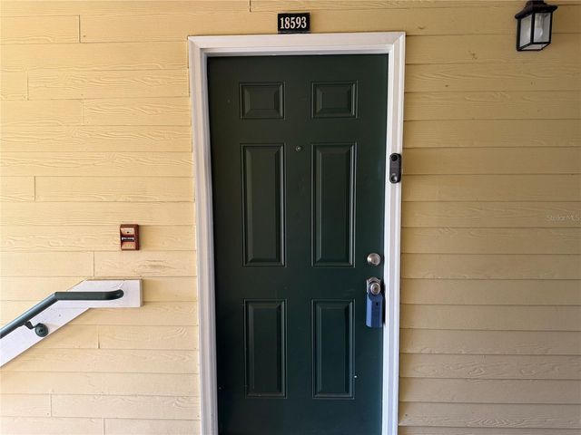 18593 BRIDLE CLUB DRIVE, Tampa, FL 33647
