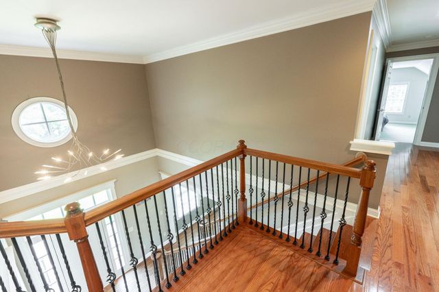 3516 Willow Grove, New Albany, OH 43054