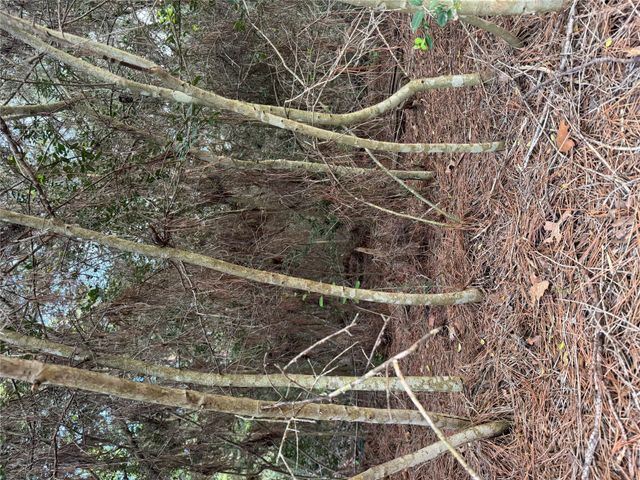 Lots 158 and 159 Hekili DR, Bastrop, TX 78602