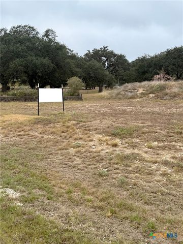 4300 Potters Creek Road, Canyon Lake, TX 78133