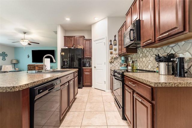 10036 CRESTED FRINGE DRIVE, Riverview, FL 33578
