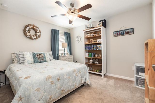 10036 CRESTED FRINGE DRIVE, Riverview, FL 33578