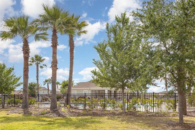10036 CRESTED FRINGE DRIVE, Riverview, FL 33578