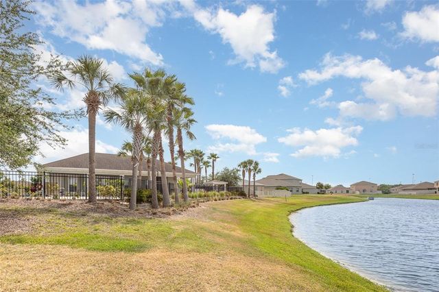 10036 CRESTED FRINGE DRIVE, Riverview, FL 33578