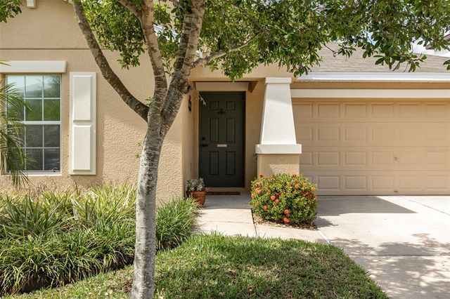 10036 CRESTED FRINGE DRIVE, Riverview, FL 33578