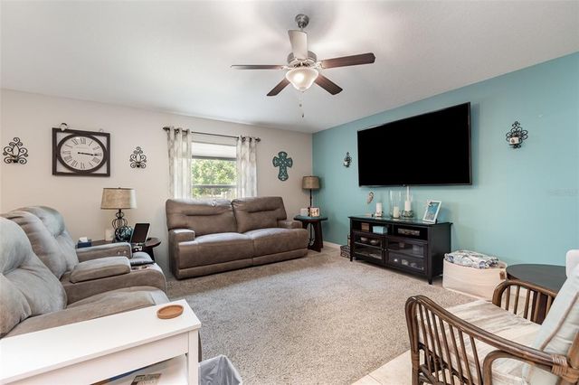 10036 CRESTED FRINGE DRIVE, Riverview, FL 33578