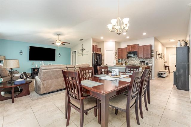 10036 CRESTED FRINGE DRIVE, Riverview, FL 33578
