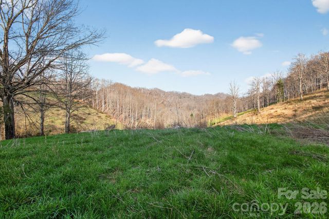 212 Ball Hollow Lane, Burnsville, NC 28714