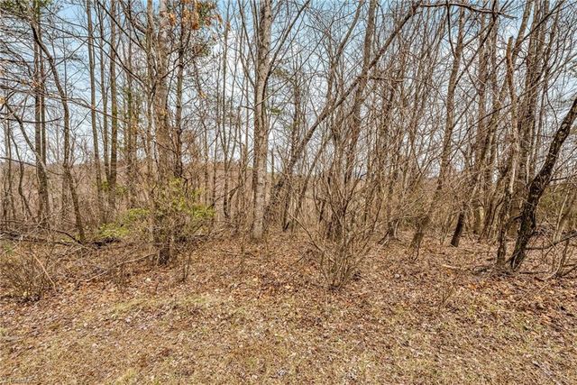 TBD Meadow Creek, Galax, VA 24333