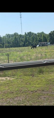 940 Liberty Church Rd., Loris, SC 29569