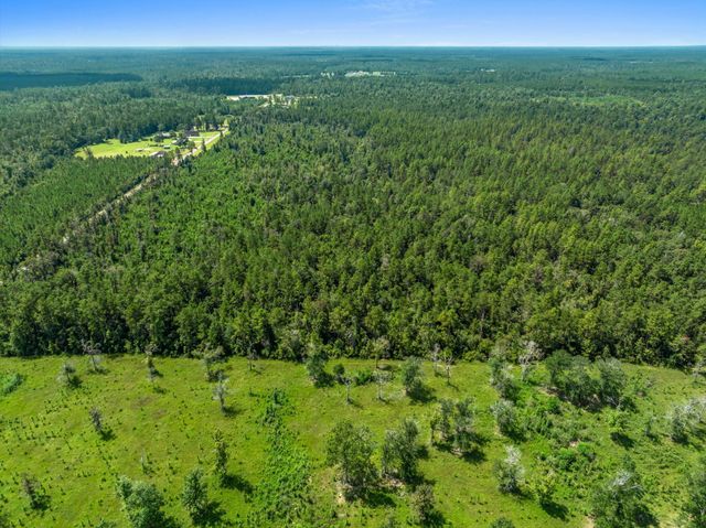 Clark Road Tract 2, Ragley, LA 70657