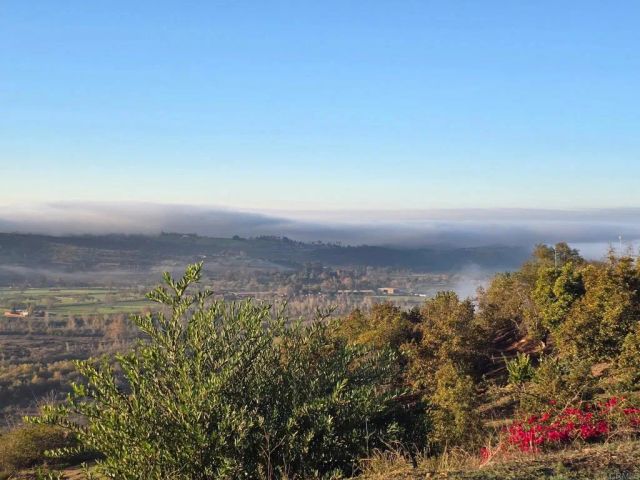 3752 Monserate, Fallbrook, CA 92028