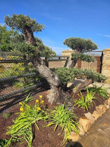 3752 Monserate, Fallbrook, CA 92028
