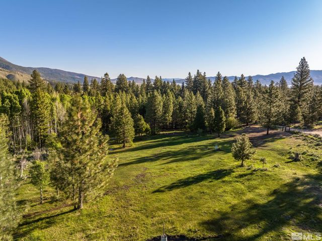 6995 Franktown Road, Washoe Valley, NV 89704