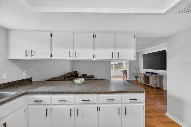 703 ISLETON DRIVE, Brandon, FL 33511
