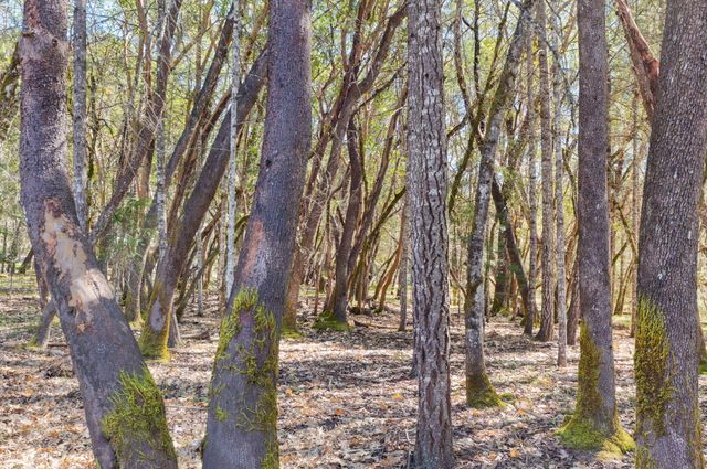 260 Highwood Lane, Grants Pass, OR 97527