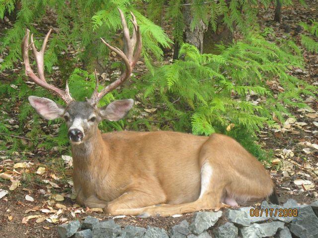 260 Highwood Lane, Grants Pass, OR 97527