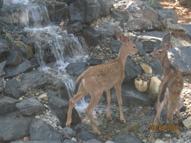 260 Highwood Lane, Grants Pass, OR 97527