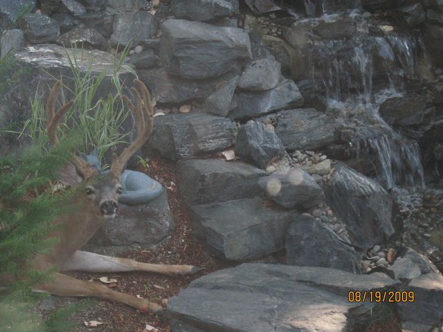 260 Highwood Lane, Grants Pass, OR 97527