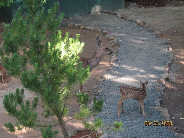 260 Highwood Lane, Grants Pass, OR 97527