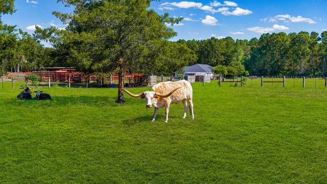 245 Alabama Point, Livingston, TX 77351