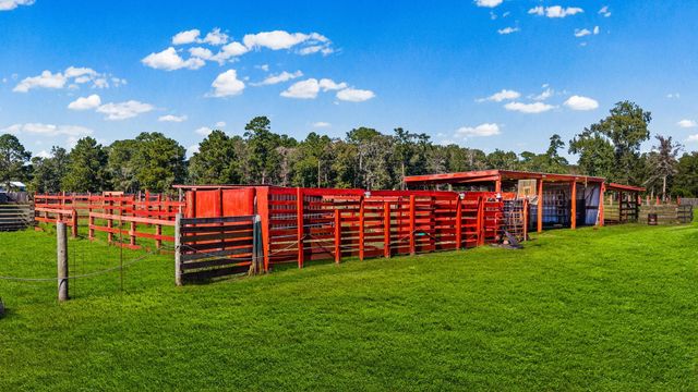 245 Alabama Point, Livingston, TX 77351