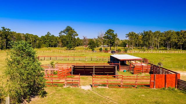 245 Alabama Point, Livingston, TX 77351
