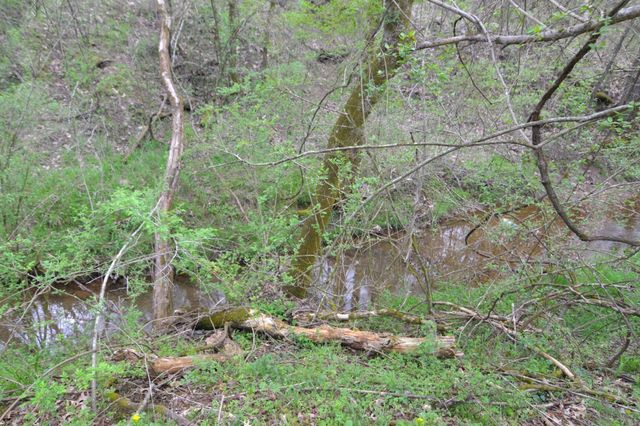 151 Oak Ln, Pulaski, TN 38478