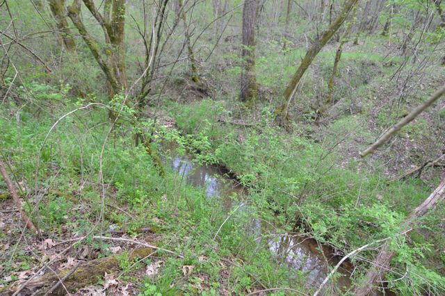 151 Oak Ln, Pulaski, TN 38478