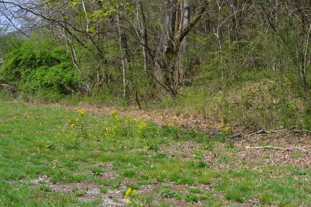 151 Oak Ln, Pulaski, TN 38478