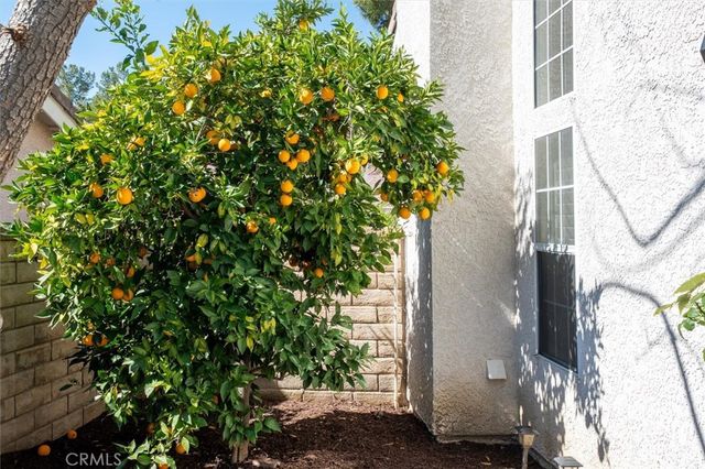 27142 Sanford, Valencia, CA 91354