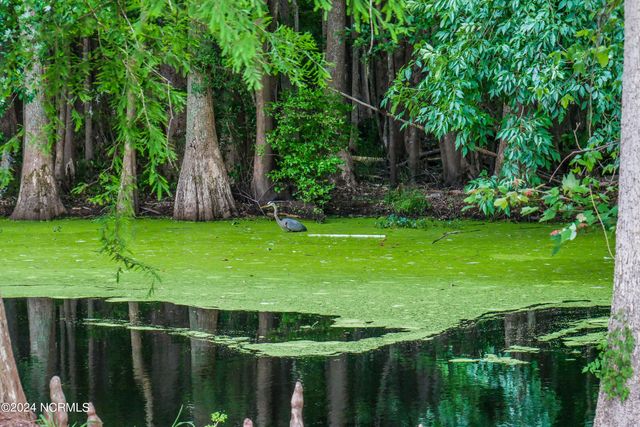 2350 Waccamaw Shores Road, Lake Waccamaw, NC 28450