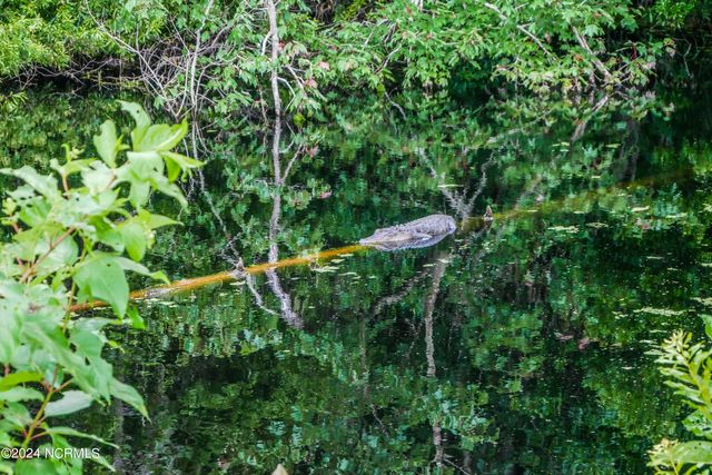 2350 Waccamaw Shores Road, Lake Waccamaw, NC 28450