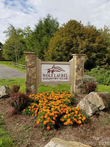 343 Chestnut Village Lane 11 & 12, Mars Hill, NC 28754