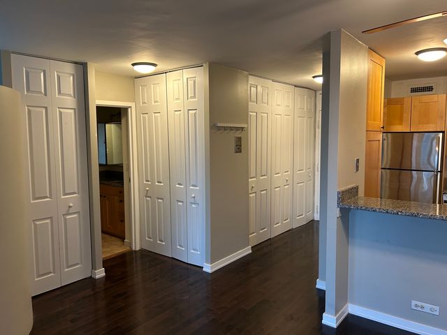 88 W Schiller Street 907L, Chicago, IL 60610