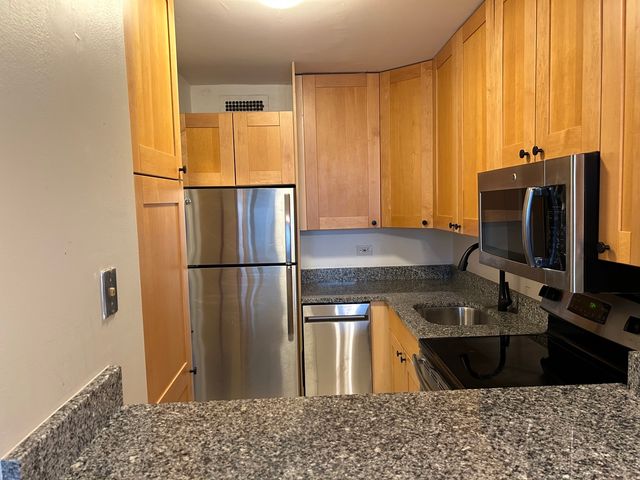 88 W Schiller Street 907L, Chicago, IL 60610