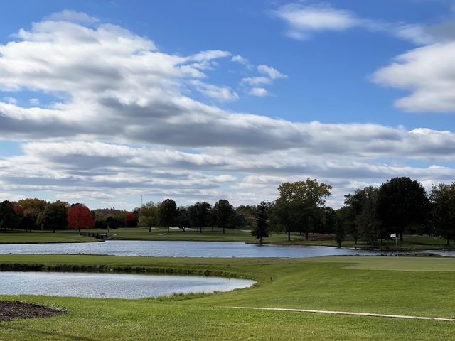 23984 N Red Oak Court, Kildeer, IL 60047