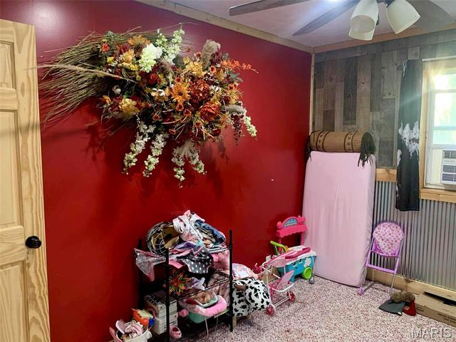 18384 County Road 487, Puxico, MO 63960