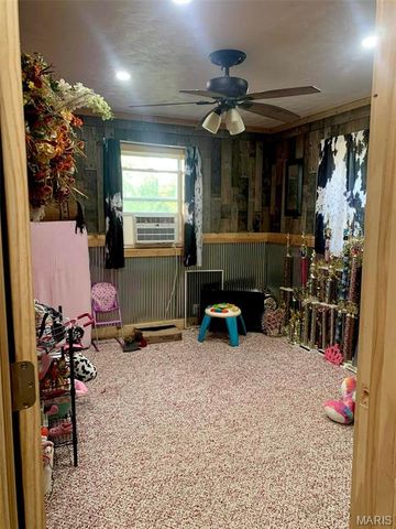 18384 County Road 487, Puxico, MO 63960