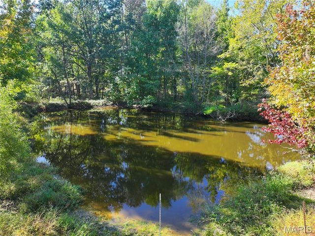 18384 County Road 487, Puxico, MO 63960