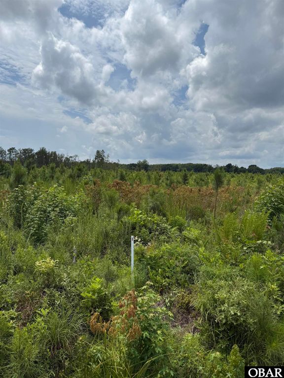 TBD Cove Road Lot #2, New Hope, NC 27944