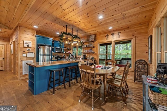 490 Walnut Hills Drive, Mineral Bluff, GA 30559