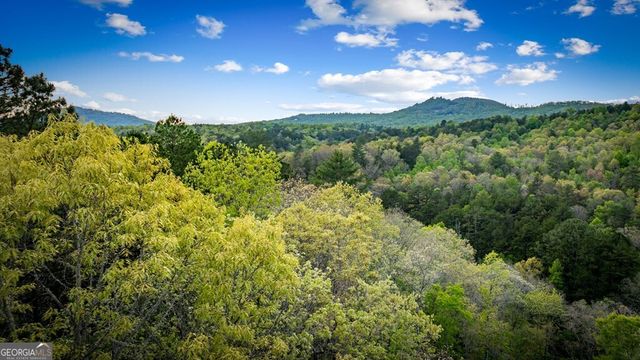490 Walnut Hills Drive, Mineral Bluff, GA 30559