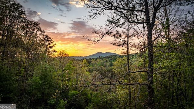 490 Walnut Hills Drive, Mineral Bluff, GA 30559