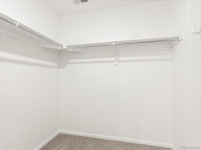 1620 Riverplace Drive 3, Windsor, CO 80550