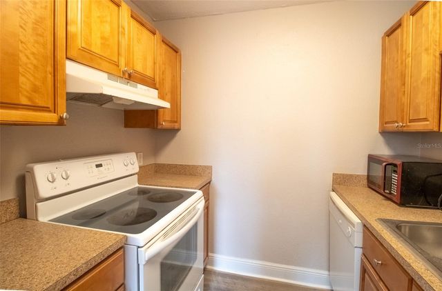 13725 JUNIPER BLOSSOM DRIVE 202, Tampa, FL 33618