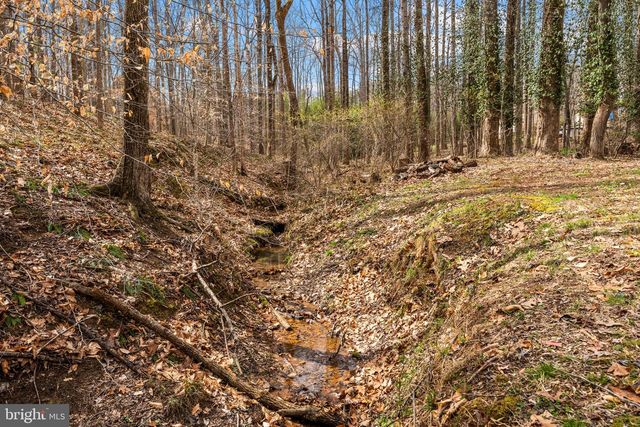 12660 HAZEL RIVER RD, Rixeyville, VA 22737